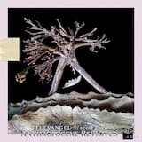 800 Star Constellation (Televangel dance Across the Stars MIX)