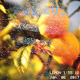 えたいの知れない不吉な塊が私の心を始終圧おさえつけていた。