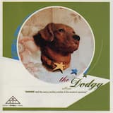 Water Under the Bridge