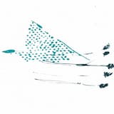 Dualisms (Quartet live Icarus.FM)