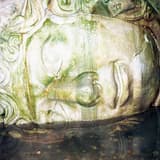 Tomorrow Is Beautiful!