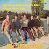 Ist denn keine leiter hier