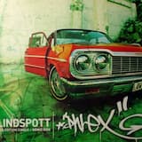 Phlex (Dubious Brothers mix)