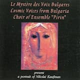 Vgradena Nevesta (Built in Bride)