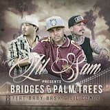 Bridges & Palm Tress