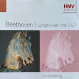 Symphony No. 5 in C minor, Op. 67: I. Allegro con brio