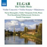 Violin Concerto in B minor, op. 61: Allegro
