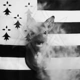 Discrimination Faciale