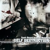 Self Destruction (DJ Neophyte Mix)