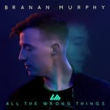 All the Wrong Things