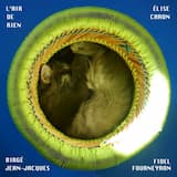 Are There Sections? Consider Transitions