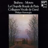 Fest- und Gedenksprüche, op. 109: I. Unsere Väter hofften auf dich