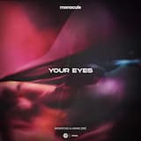Your Eyes (extended mix)