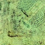 Praising Dead Chieftains