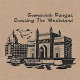 Crossing the Wasteland