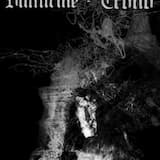 Não há luz no fim do túnel, apenas uma cova vazia que te espera