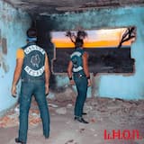 El árbol bajo el agua