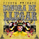 Surfeando en el Marga Marga