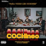 COCHIneo