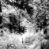 As Old as Oak and Stone