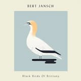 Black Birds of Brittany