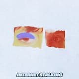 Internet Stalking