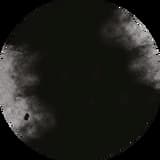 A World Without Love