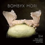 A. A. A. A. A. A. A.