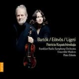 Violin Concerto no. 2: I. Allegro non troppo