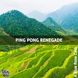 Considering Incredible