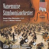 Viiulikontsert op. 64: I. Con moto