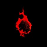 The Green Plain Pt. 2