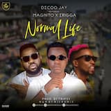 Normal Life