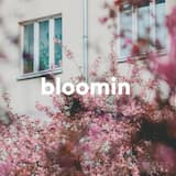 Bloomin’
