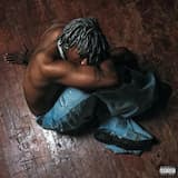 FLY ENOUGH TO BE VIRGIL