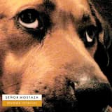 Ahora comprendo bien