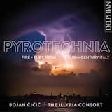 Violin Concerto in D Major, RV 205 "fatto per Maestro Pisendel": I. Allegro