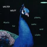 General Impression, Size and Shape: Part IV