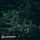 All I Want for Christmas Is You (acoustic)