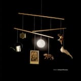 Guericke’s Unicorn