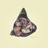 Живей със Тва