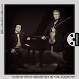 Violin Sonata No. 1 in G major, Op. 78 "Regenlied-Sonate“: III. Allegro molto moderato