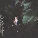 貝がらのかけら