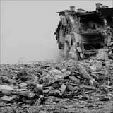 Locusts of the Urban Jungle