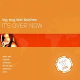 It’s Over Now (Riff and Rays remix)