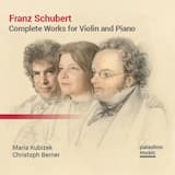 Sonata For Violin And Piano In D Major, D 384 (1816): 1. Allegro Molto