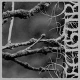 Die Herrschaft des Eises/Leichenschmaus