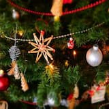 Christmas Joy(32sec)