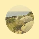 Applied Oceanographics