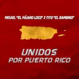 Unidos por Puerto Rico